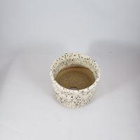 Small Speckled Planter